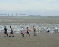 cCݒ